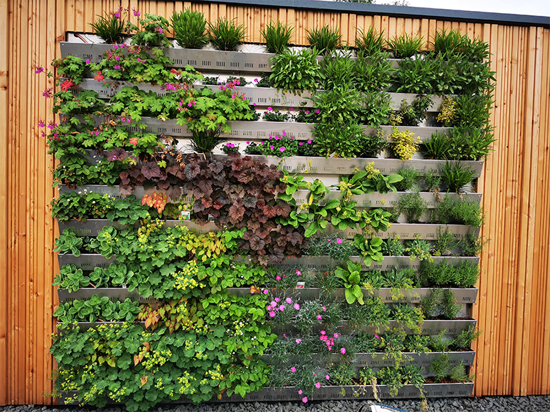 Fassadenbegrünung "Vertical Garden"